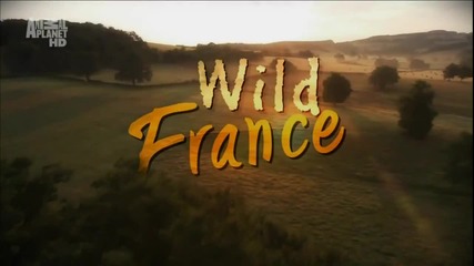 Дивата природа на Франция - Wild France