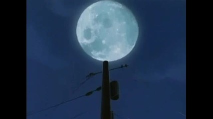 Itachi e Sasuke tribute