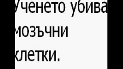 Песен За Тъпото Даскало