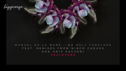 Manuel De La Mare - We Melt Together ( Anis Hachemi Remix )