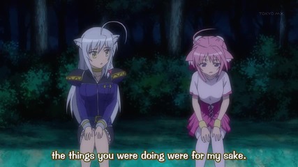 [animeout] Dog Days - 11 [720p minihd 90mb]
