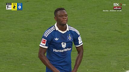 Borussia Dortmund vs. Hamburger SV - Game Highlights