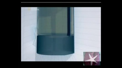 Голям, По - Голям, Най - Голям Небостъргач - 5
