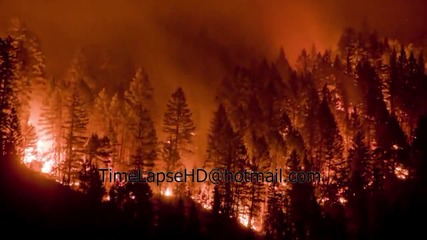 Forest Fire Time Lapse