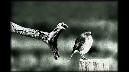 Harvey Mckay - Disturb The Bird ( Gary Beck Remix ) 