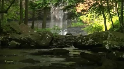Ashana -heart of Gaia