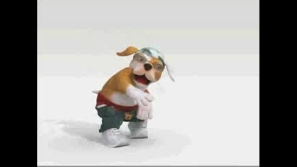 perro rompe 