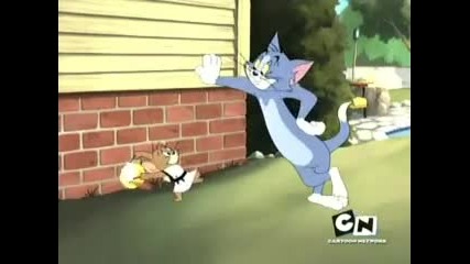 Tom And Jerry - Karate Guard
