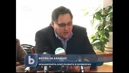 Разбиха свръхмодерна ферма за канабис в Шумен