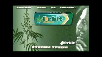 Smeshni kartin4ici .wmv