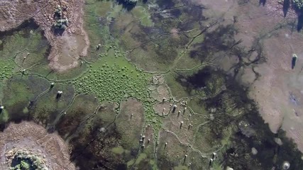 Планетата Земя - От полюс до полюс / Част 5 