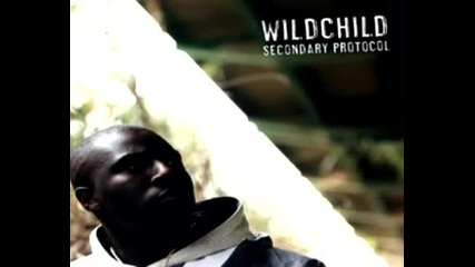 Wildchild - Feel It Ft Medaphoar