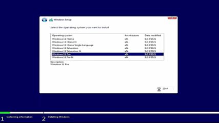 Windows 11 Pro (за стари и нови компютри)