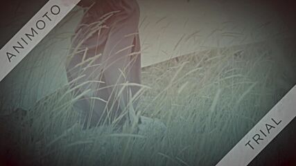 You're Not From Here / Lara Fabian