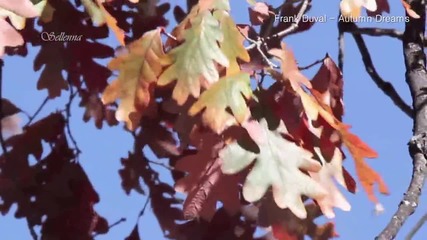 Frank Duval - Autumn Dreams