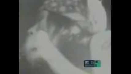 Guns N Roses - Sweet Child O Mine