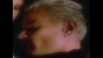 Spike and Buffy - Your love is just a lie 