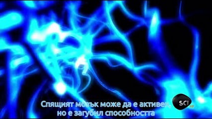 В Червеевата Дупка - Има ли живот след смъртта ?