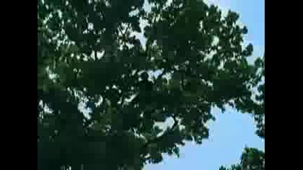 Blind Faith - Sea of Joy