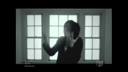 Kirito - Cherry Trees
