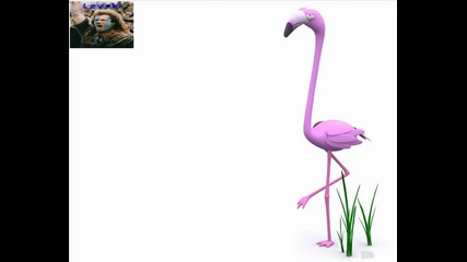 Funny 3d Animals