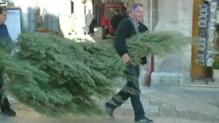 Дядо Коледа се качи на камила, раздава елхички