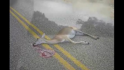 Some Hard Street Bike Crashes