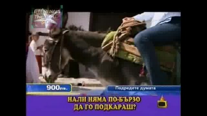 Книжка за магаре имаш ли, Господари на ефира 