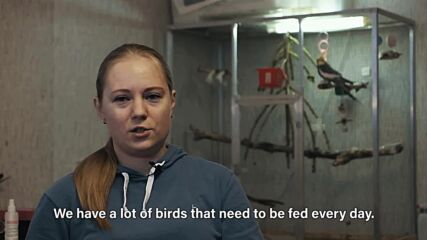 Green heroes: "Saving a bird is like an opportunity to fly"