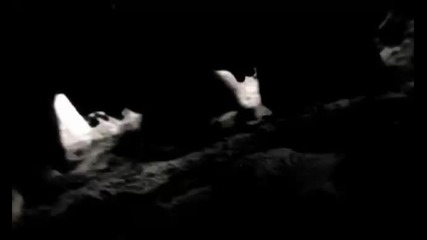 04.scar Symmetry - The Illusionist hq