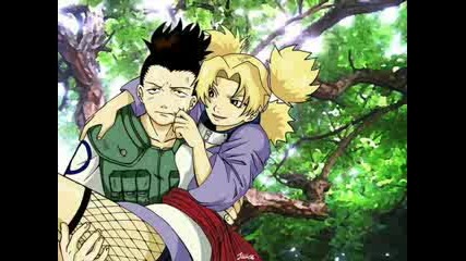 Shikamaru And Temari