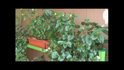 Какво направиха със стаите в едно училище.