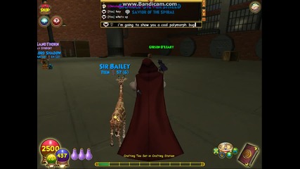 Wizard101 polymorph bug