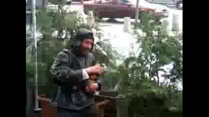 Dancing Mangal