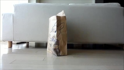 Сладко и забавно котенце