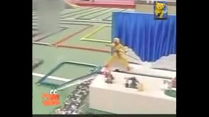 Домино - Щоу