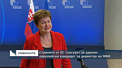 Страните от ЕС гласуват за единен европейски кандидат за ръководител на МВФ