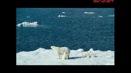 До Арктика (2012) - бг субтитри Част 2