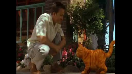 Garfield