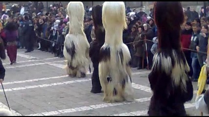 Крупник, група Овча купел 2013