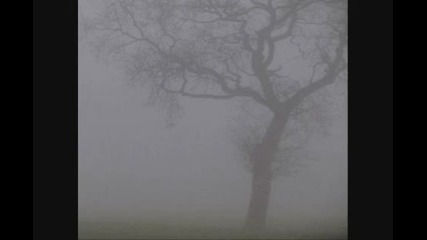 Jesu - Dead Eyes