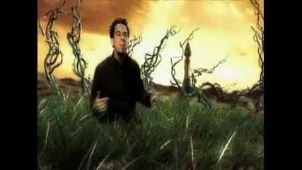 linkin park - in the end - dvdrip - xvid - 2001