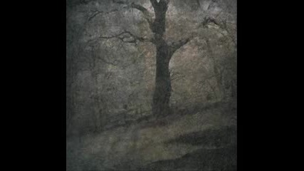 Cisfinitum - District Delta