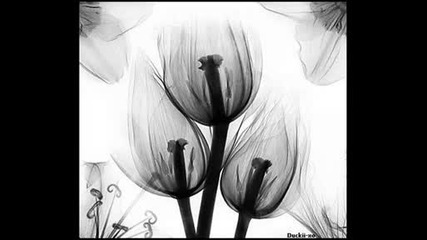 * - * Flower * - *