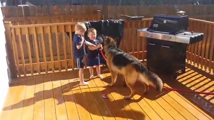 Сладки деца пръскат куче с вода..