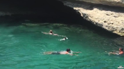 Смело куче се хвърля във водата от скала