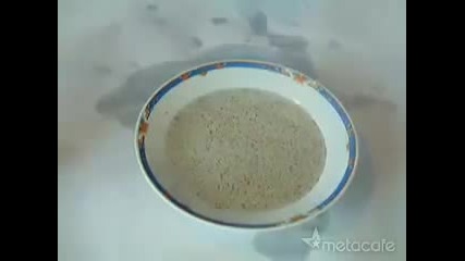 Лесен магически трик ! И вие ще го направите !