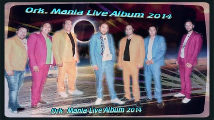 Ork. Maniq Orlin Pamukov - Kuchek Infomania Live 2015