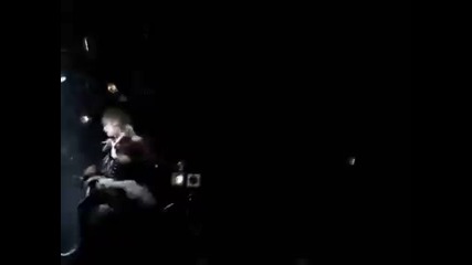 Daizystripper - dandelion [live]