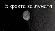 5 факта за луната